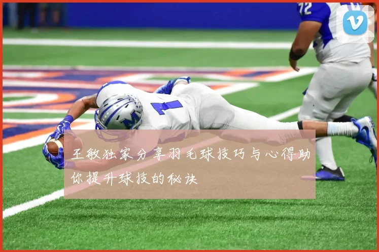 王敏独家分享羽毛球技巧与心得助你提升球技的秘诀